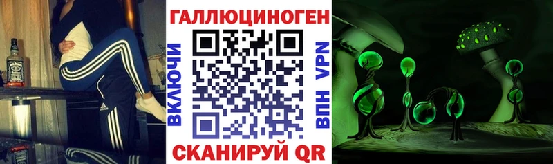магазин продажи наркотиков  Нерюнгри  Псилоцибиновые грибы Psilocybe 