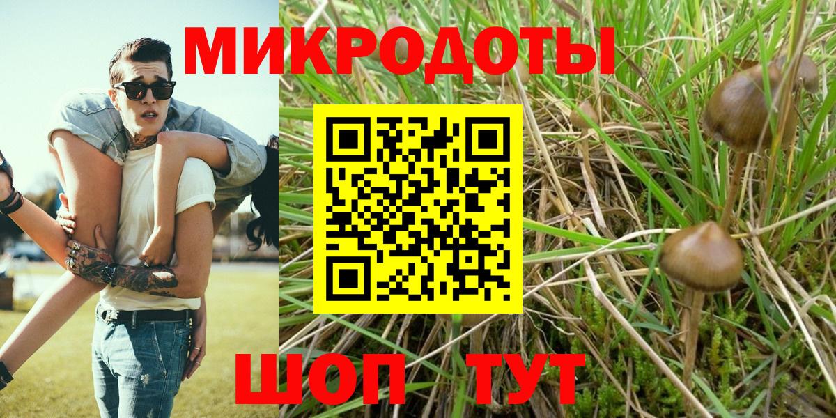 Нерюнгри  Галлюциногенные грибы прущие грибы  Вход с VPN 