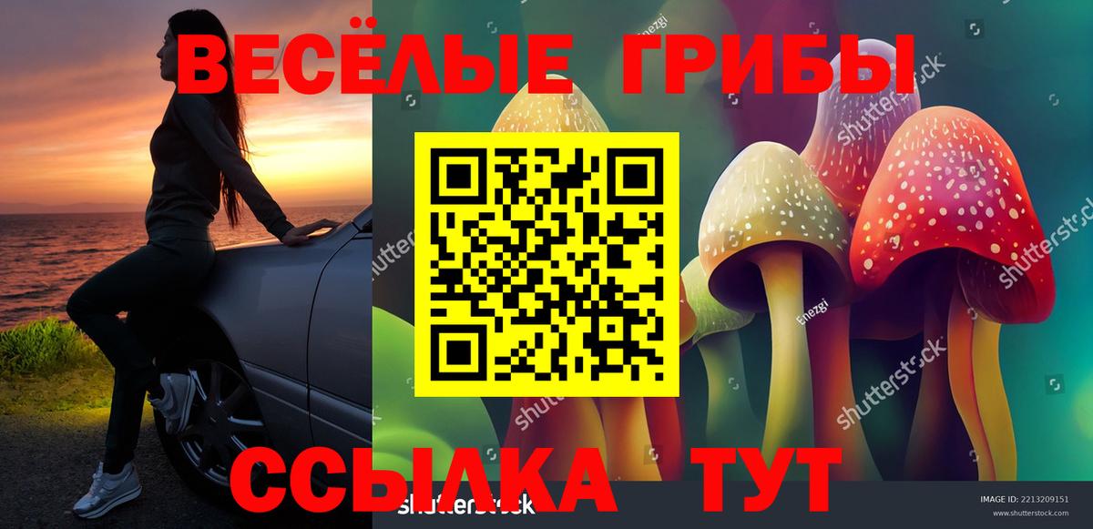 Псилоцибиновые грибы Magic Shrooms Нерюнгри
